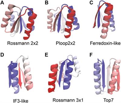 A Method for Assessing the Robustness of Protein Structures by Randomizing Packing Interactions